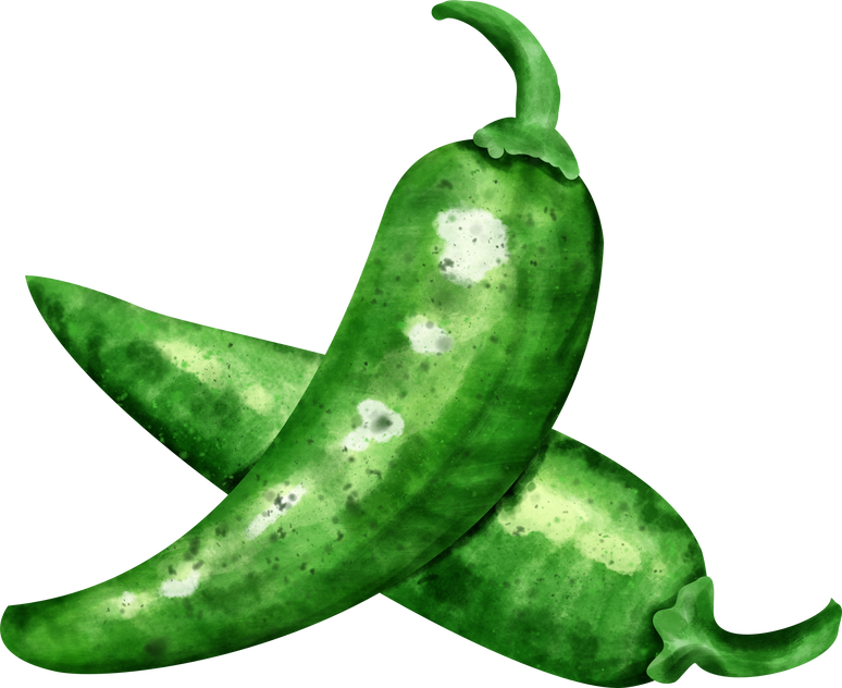 watercolor chili